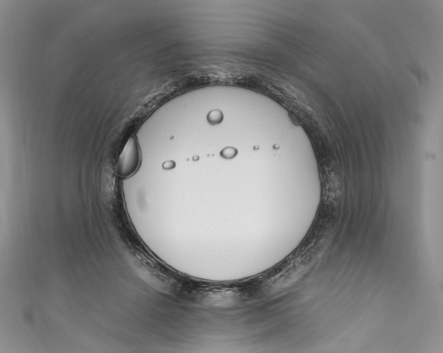 X0000110910456200907091440