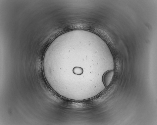 X0000110910457200907091440