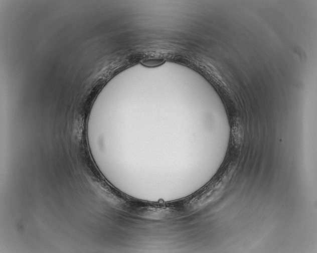 X0000110910458200907091440