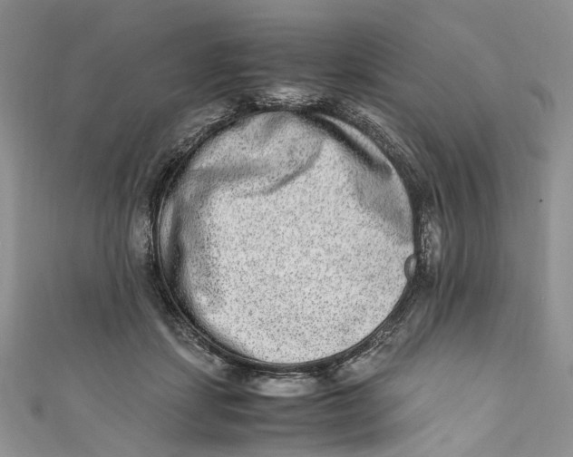 X0000110910459200907091440