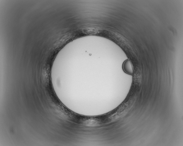 X0000110910460200907091440