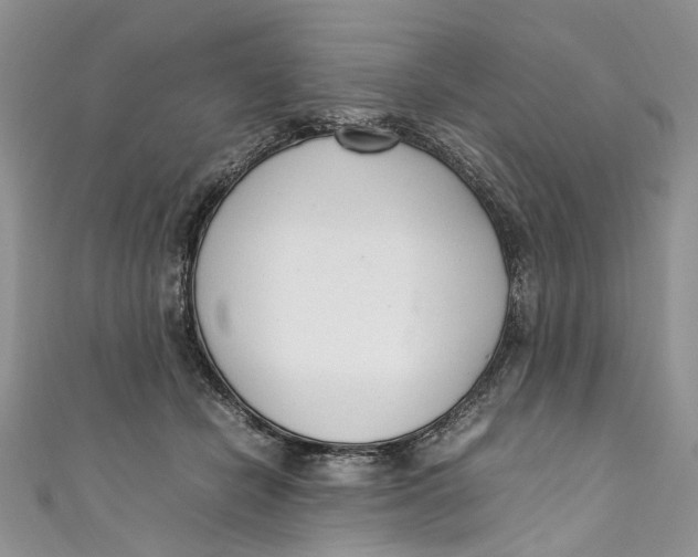 X0000110910462200907091440