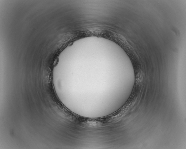 X0000110910464200907091440