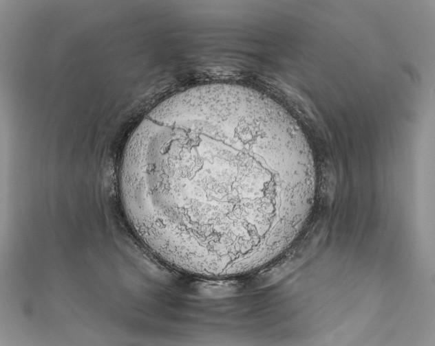 X0000110910465200907091440