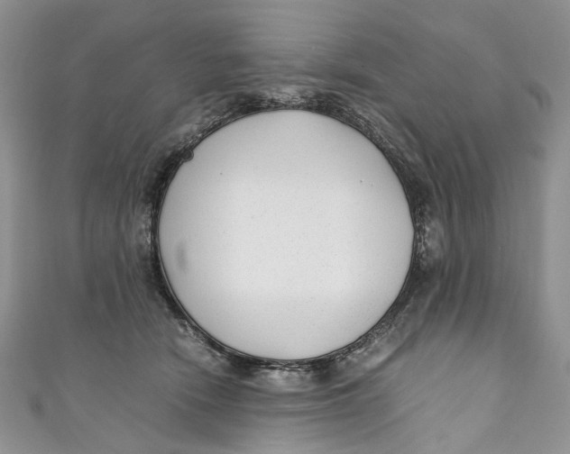 X0000110910466200907091440