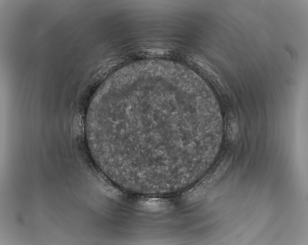 X0000110910467200907091440