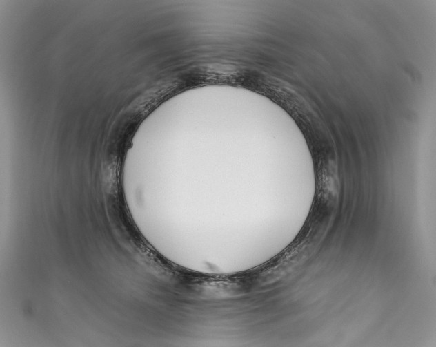 X0000110910468200907091440