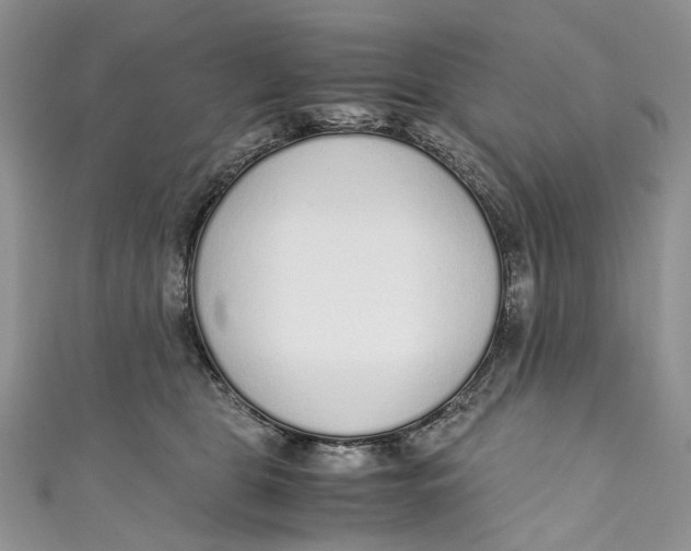 X0000110910469200907091440