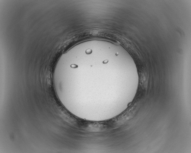 X0000110910470200907091440