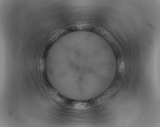 X0000110910471200907091440