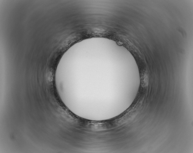 X0000110910472200907091440