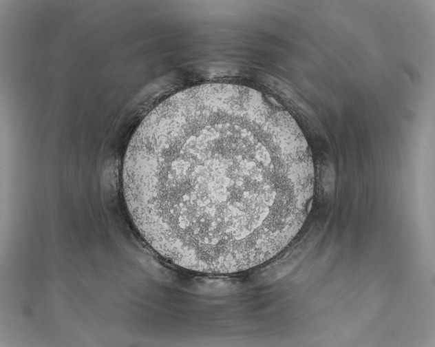 X0000110910475200907091440