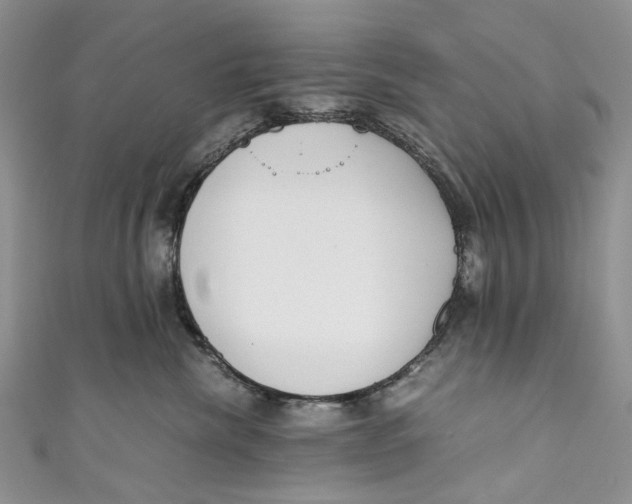 X0000110910476200907091440