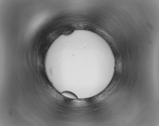 X0000110910477200907091440