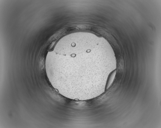 X0000110910478200907091440