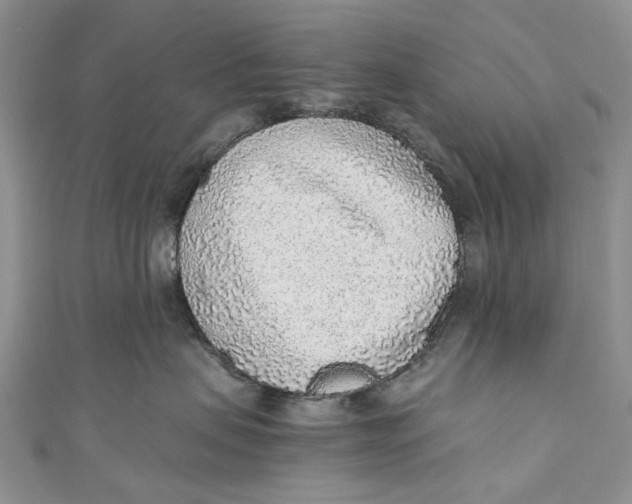 X0000110910479200907091440