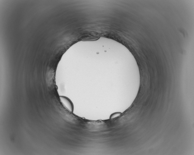 X0000110910480200907091440