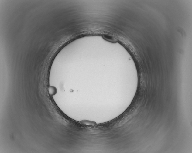 X0000110910481200907091440