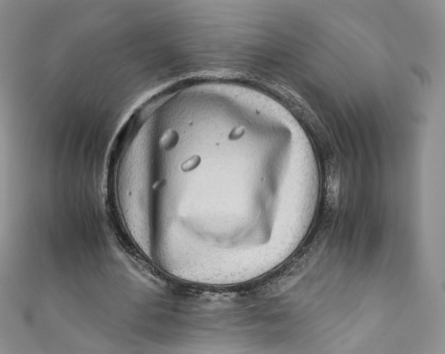 X0000110910484200907091440