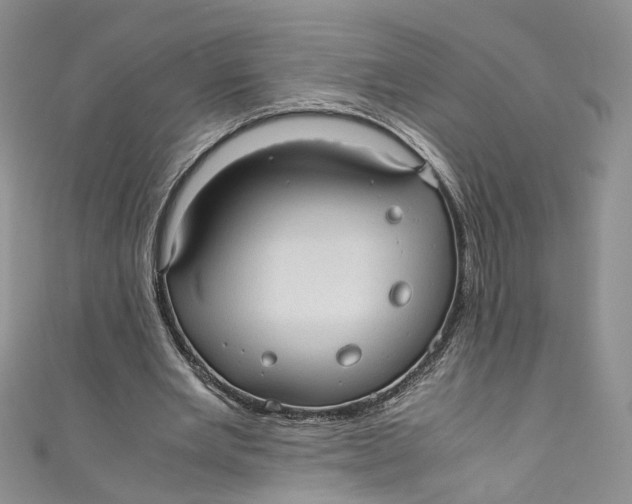 X0000110910485200907091440