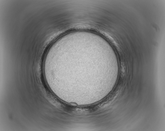 X0000110910487200907091440