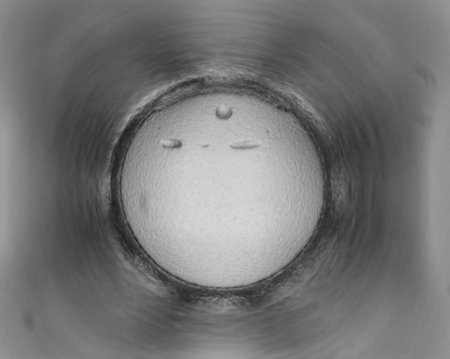 X0000110910488200907091440