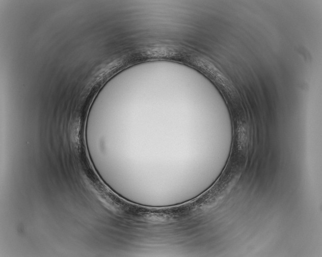 X0000110910490200907091440