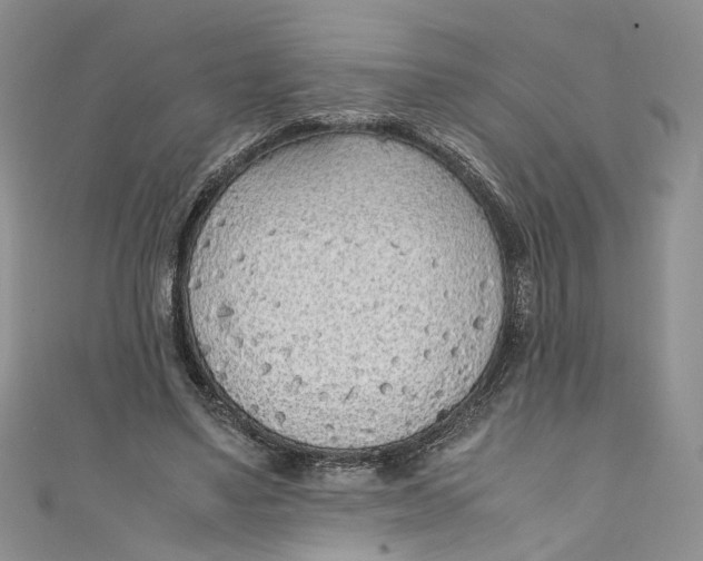 X0000110910491200907091440