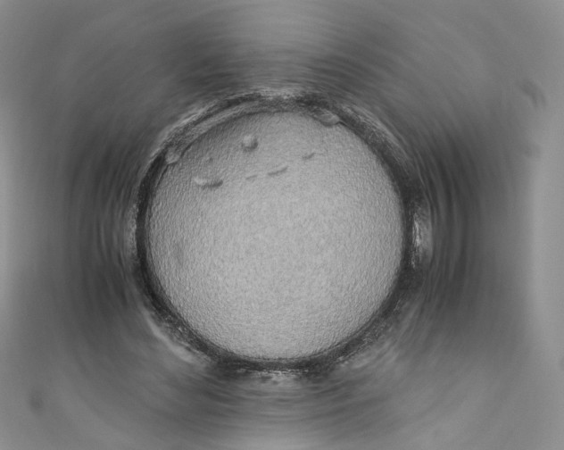 X0000110910492200907091440