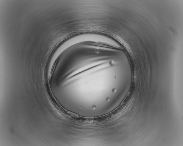 X0000110910493200907091439