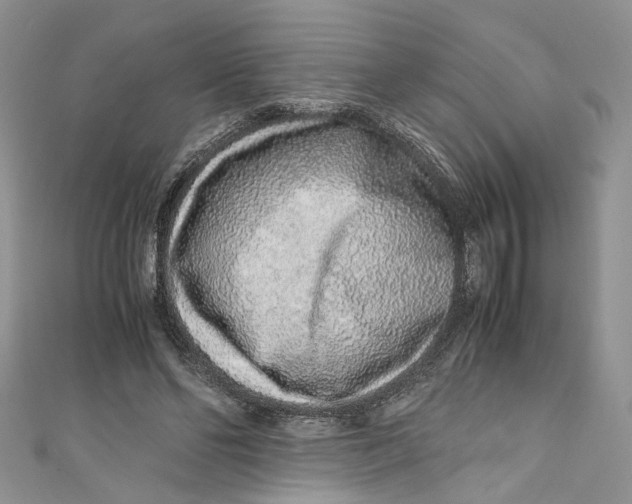 X0000110910494200907091439