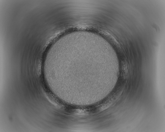 X0000110910496200907091439