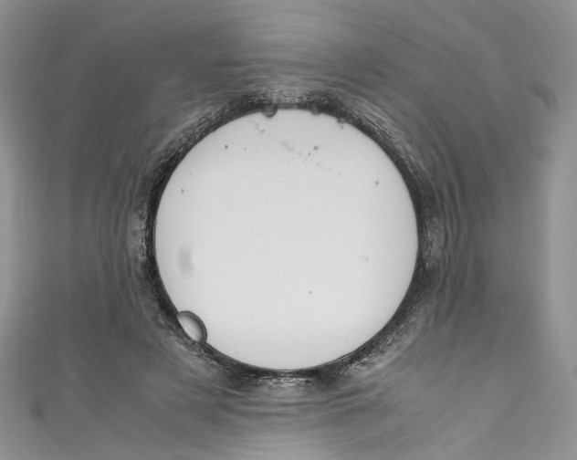 X0000110910497200907091439