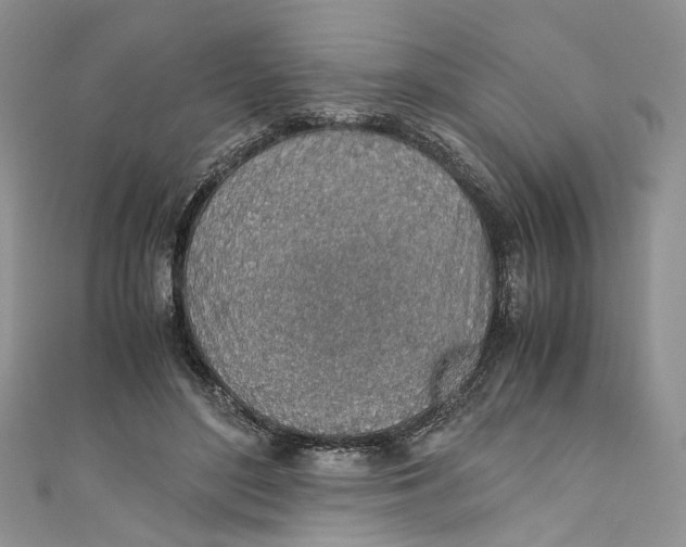 X0000110910500200907091439