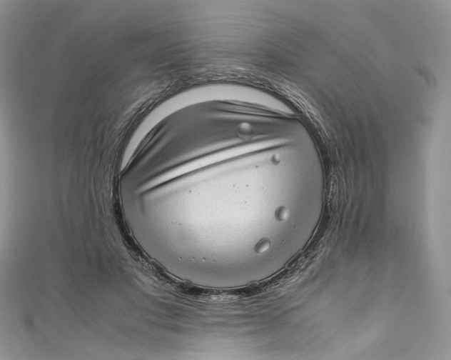 X0000110910501200907091439