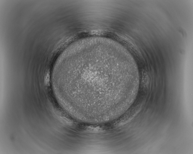 X0000110910502200907091439