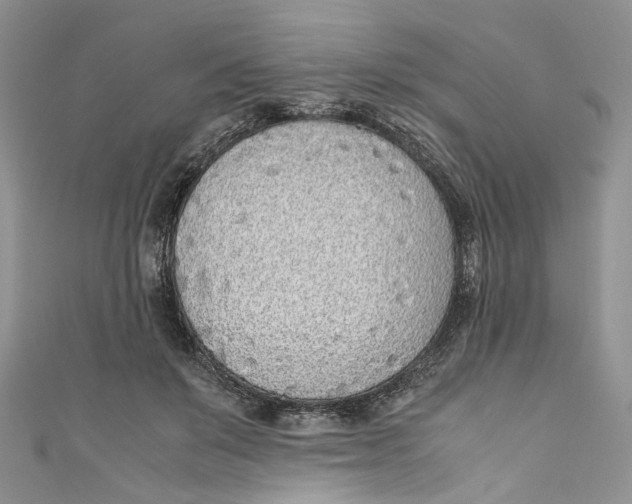 X0000110910503200907091439