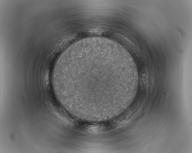 X0000110910504200907091439