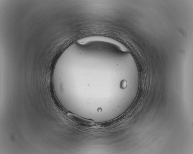 X0000110910505200907091439