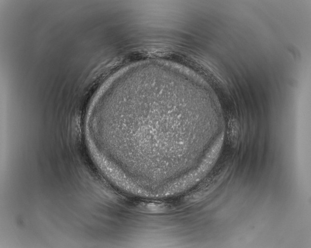 X0000110910506200907091439