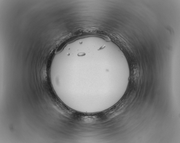 X0000110910508200907091439