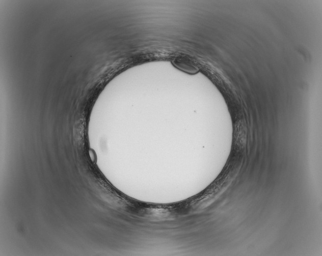 X0000110910509200907091439