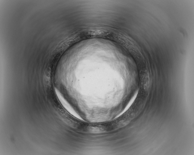 X0000110910510200907091439