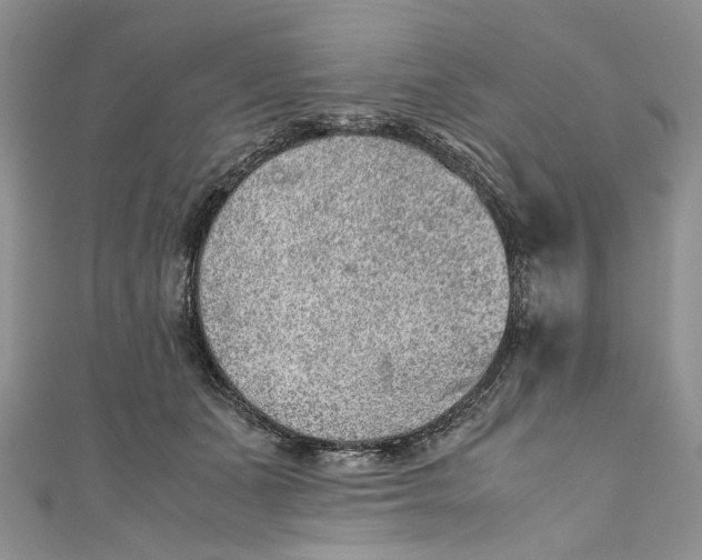 X0000110910511200907091439