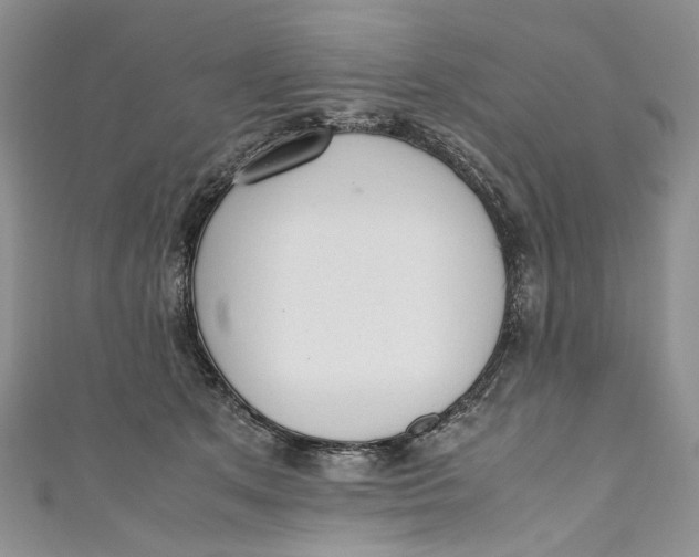 X0000110910513200907091439