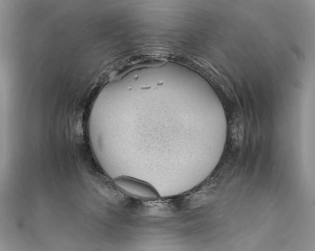 X0000110910516200907091439