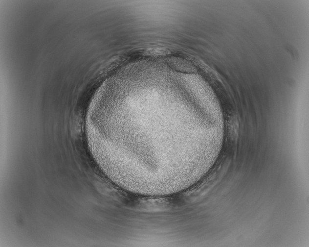 X0000110910517200907091439