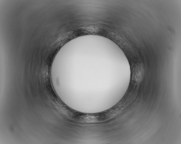 X0000110910518200907091439