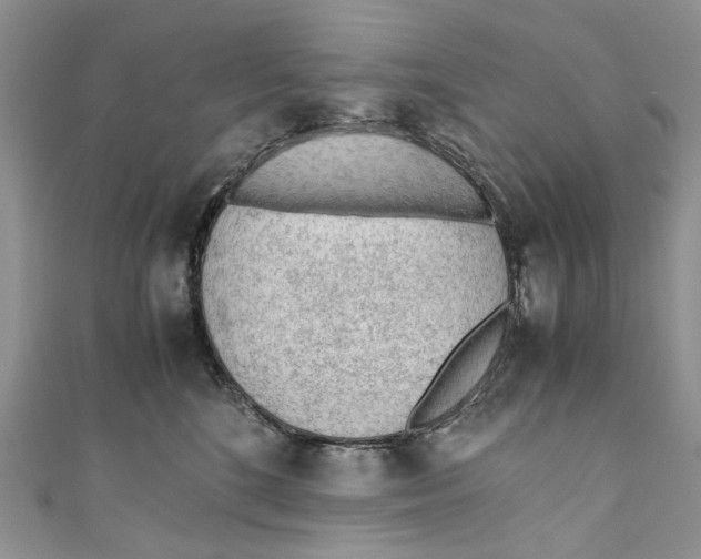 X0000110910520200907091439