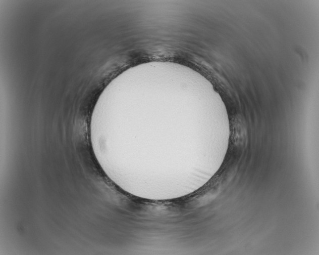 X0000110910523200907091439